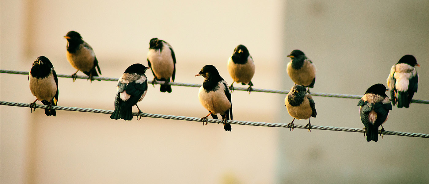 Finding the correct values for Symfony Messenger failure strategy
